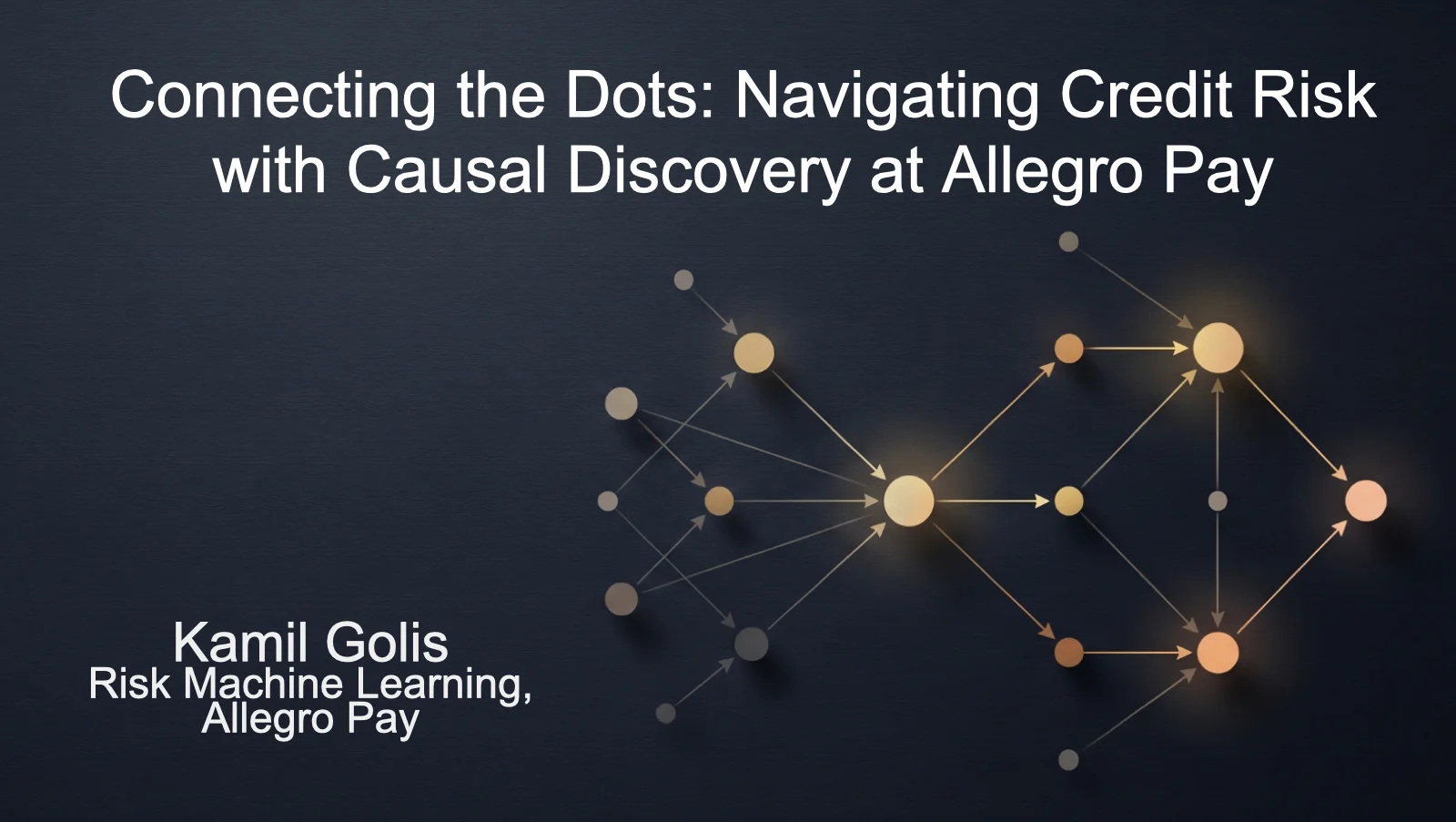 Connecting the Dots: Navigating Credit Risk with Causal Discovery at Allegro Pay
